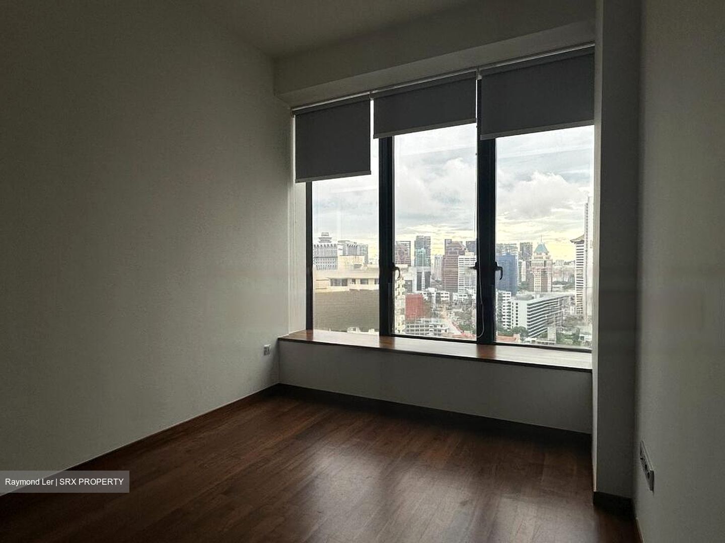 The Scotts Tower (D9), Condominium #601638821
